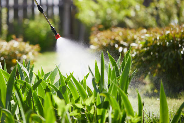 24/7 Emergency Cockroach Control experts in Highpoint, OH